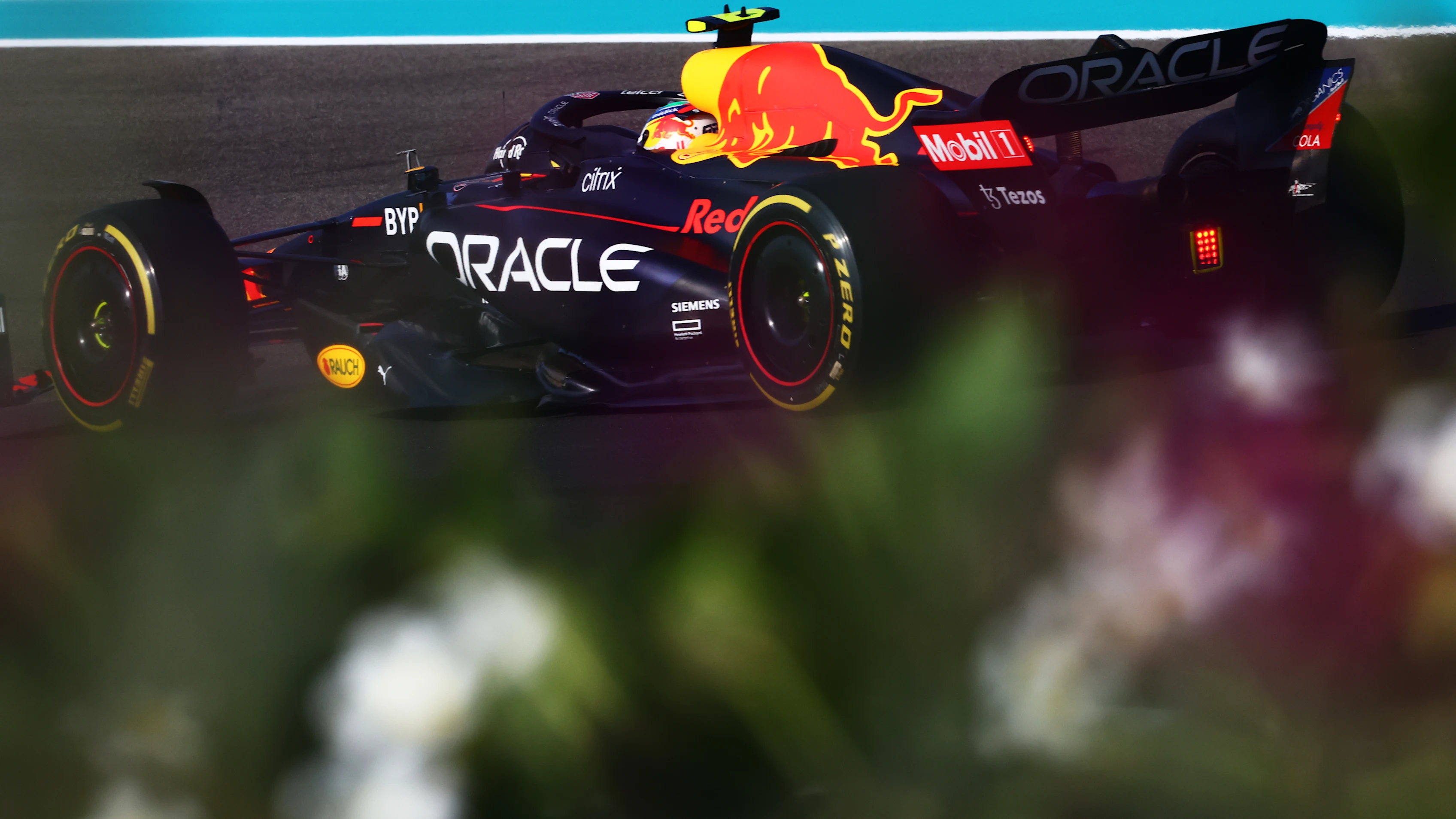 ABU DHABI, UNITED ARAB EMIRATES - NOVEMBER 19: Sergio Perez of Mexico driving the (11) Oracle Red