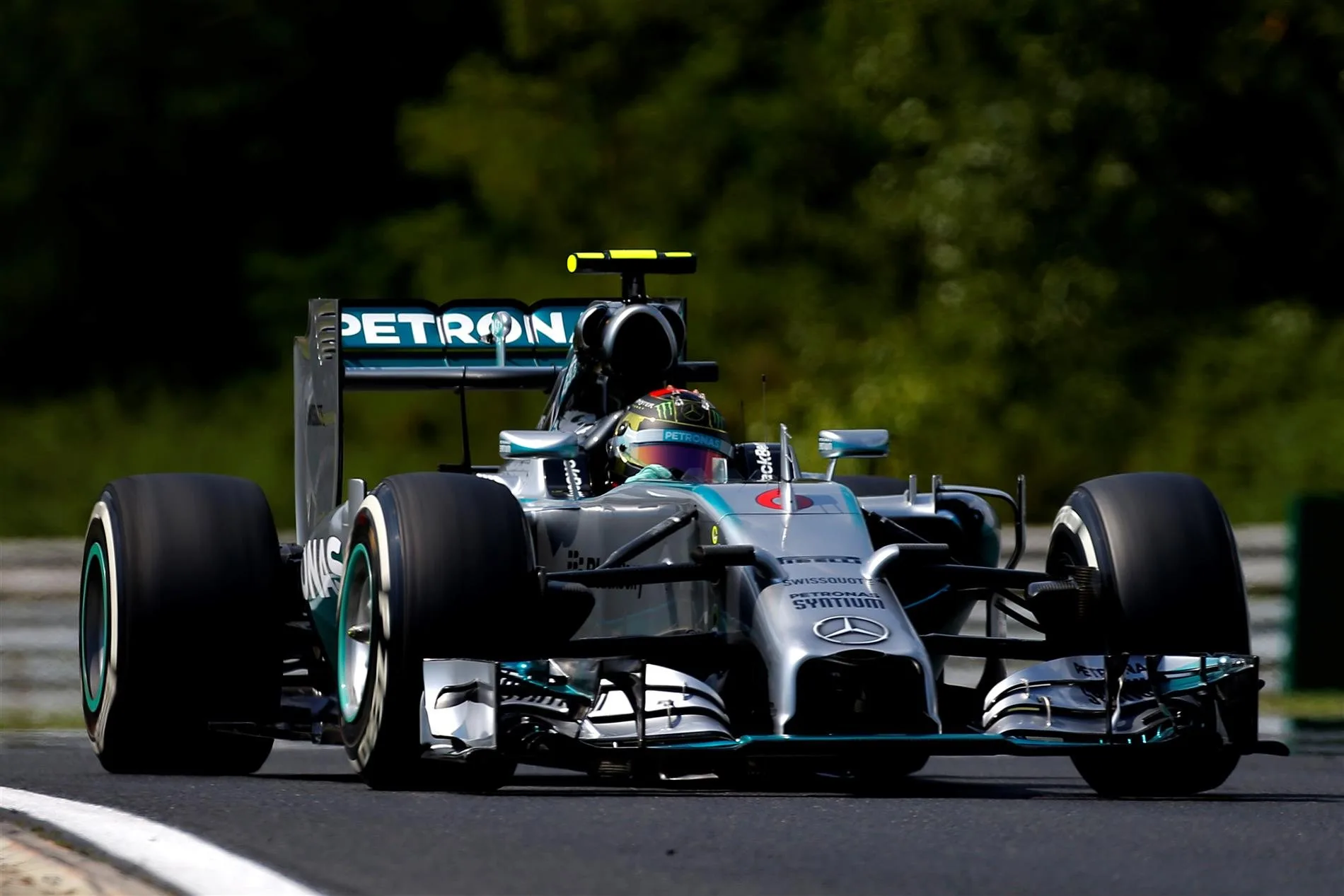 Nico Rosberg (GER) Mercedes AMG F1 W05. Formula One World Championship, Rd11, Hungarian Grand Prix, Qualifying, Hungaroring, Hungary. Saturday, 26 July 2014 © Sutton Images. No reproduction without permission