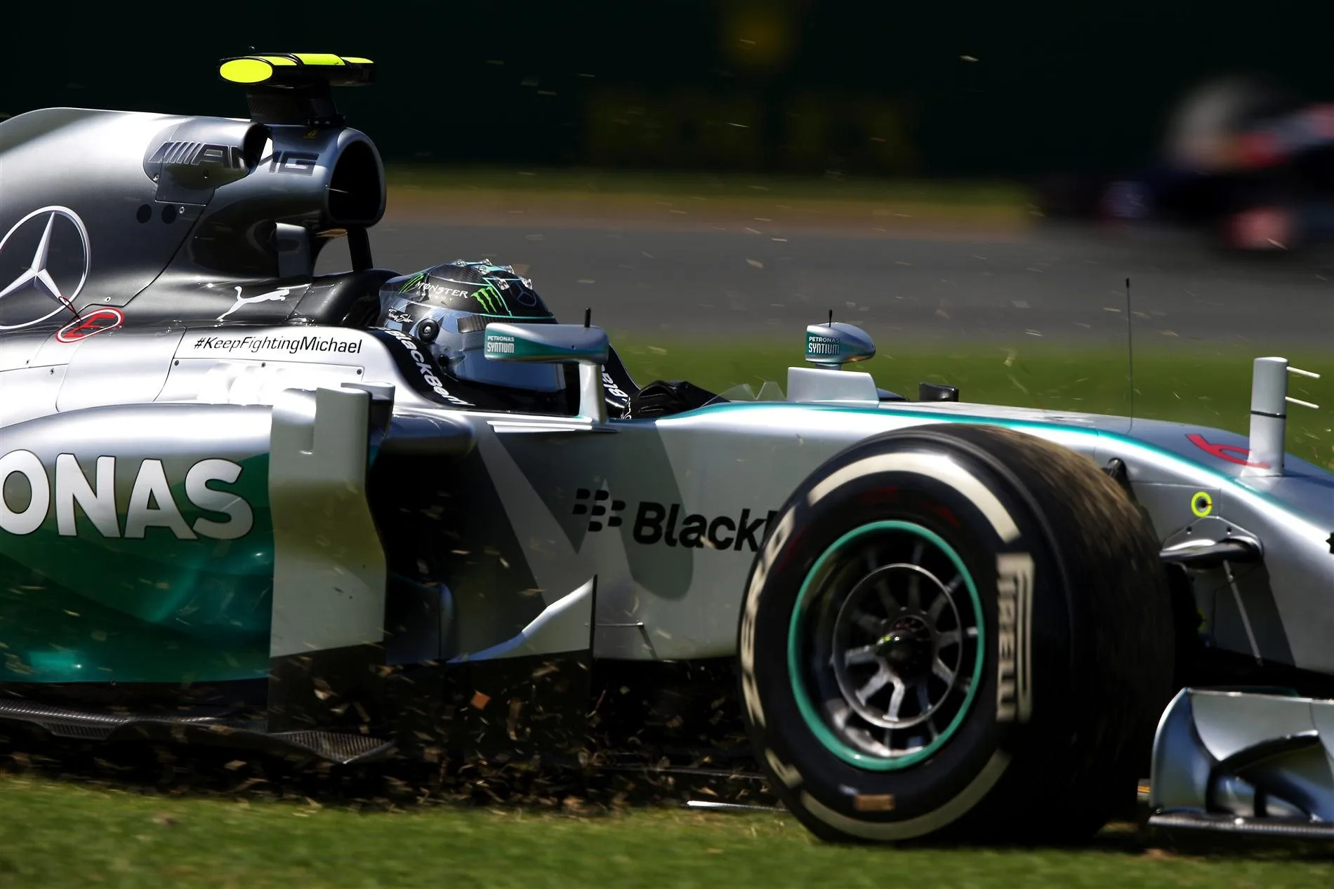 Nico Rosberg (GER) Mercedes AMG F1 W05 goes off track. Formula One World Championship, Rd1, Australian Grand Prix, Practice, Albert Park, Melbourne, Australia, Friday, 14 March 2014