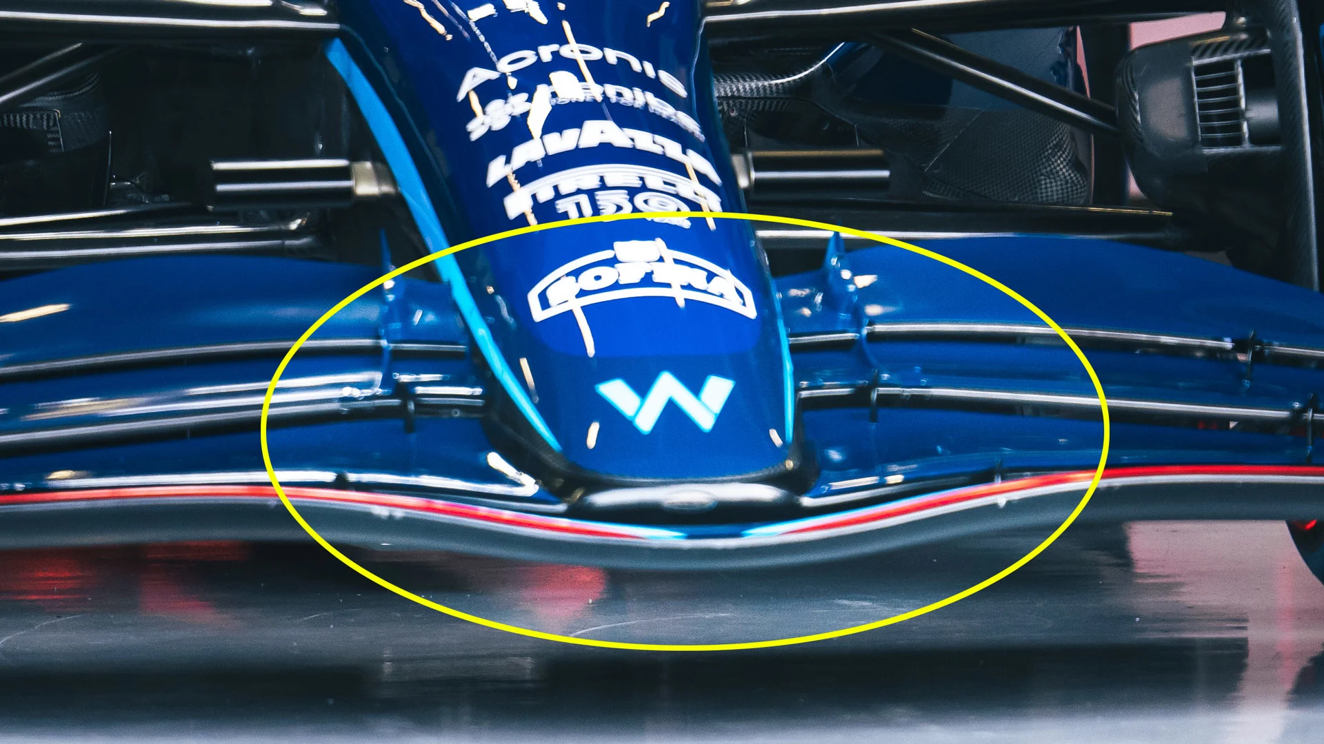 williamsnose.jpg