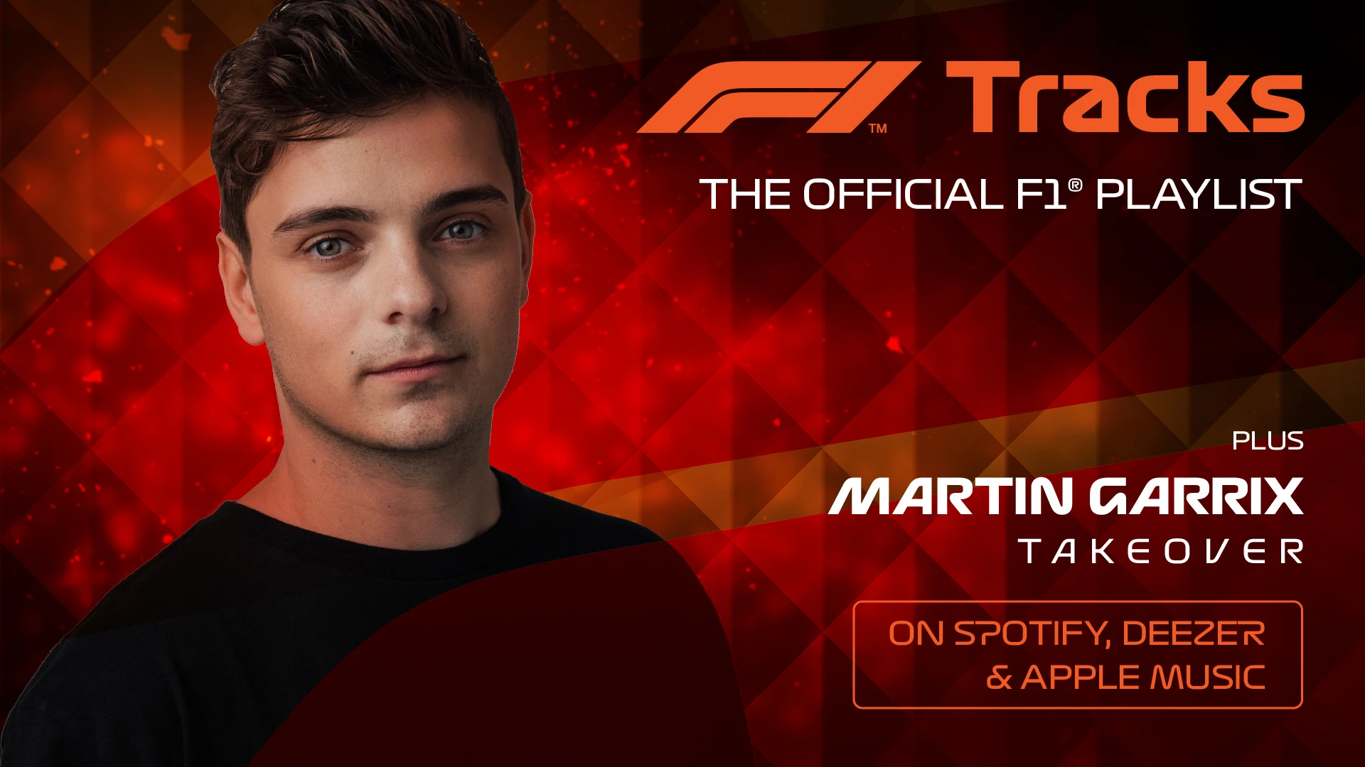 Martin Garrix F1