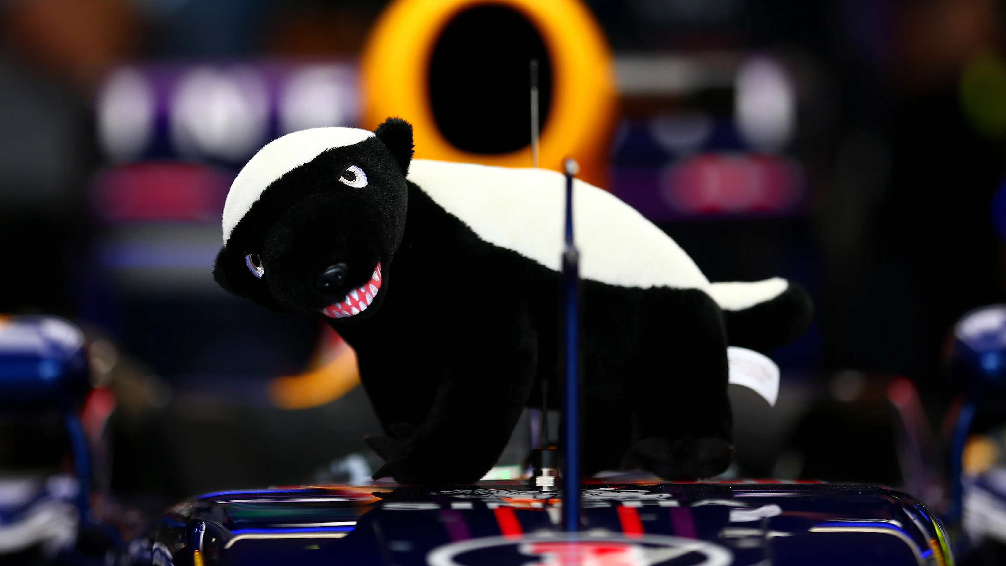 P-20141222-06947_HiRes JPEG 24bit