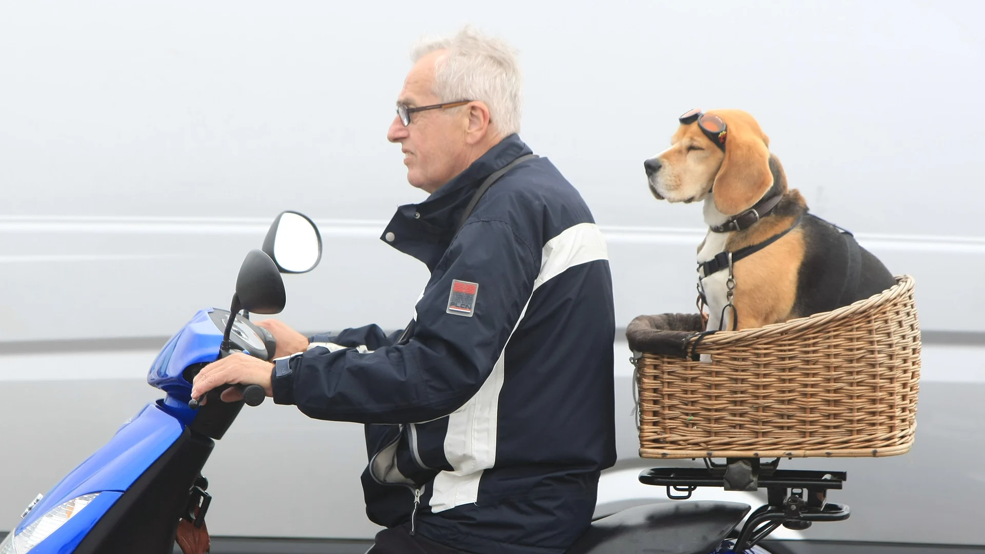 Zandvoort, Holland, 13th-14th August 2011
Man with a dog on a scooter
World copyright: Jakob