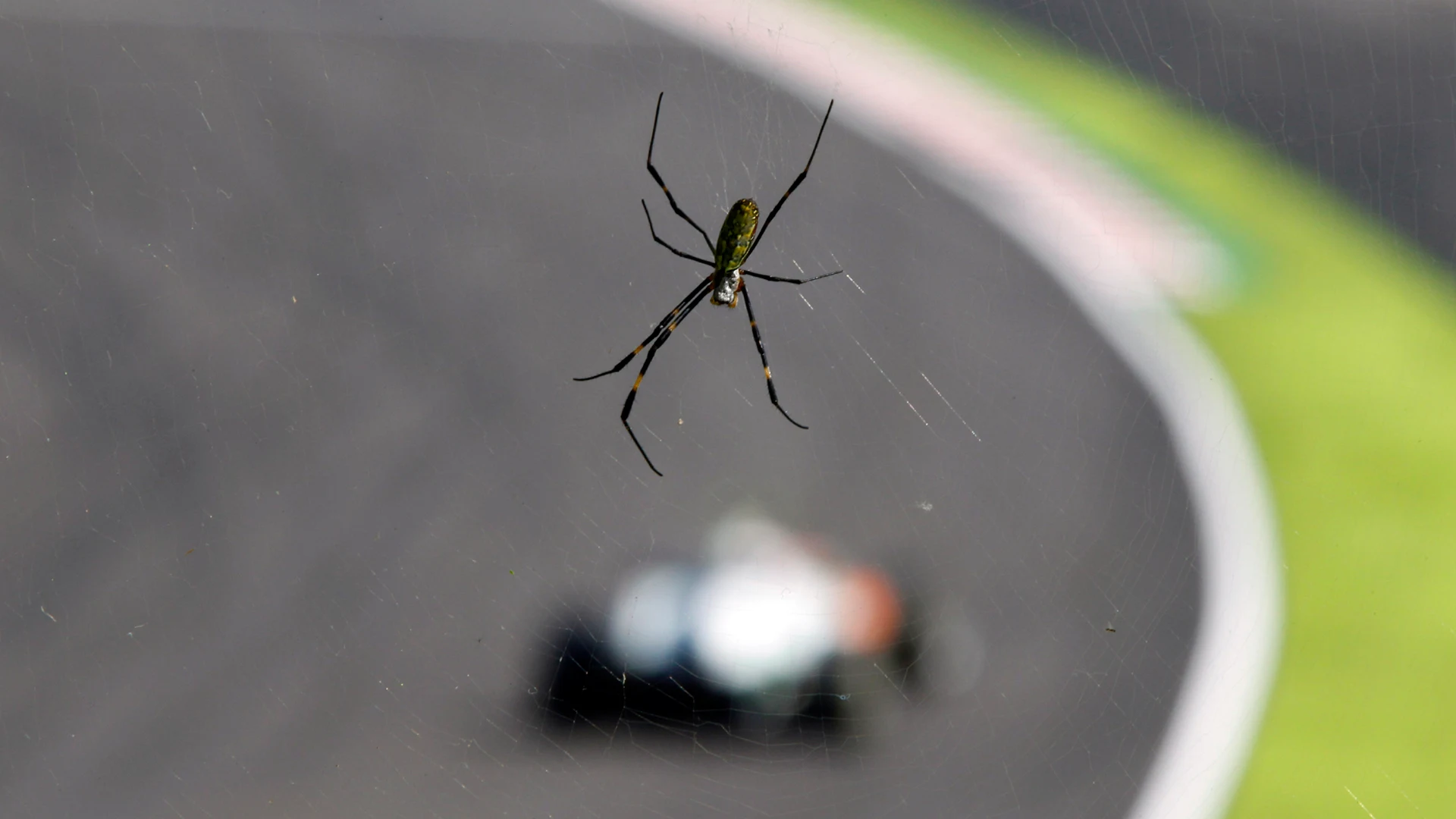 Suzuka Circuit, Suzuka, Japan.
8th October 2011.
Spider. Atmosphere. 
World Copyright: Charles
