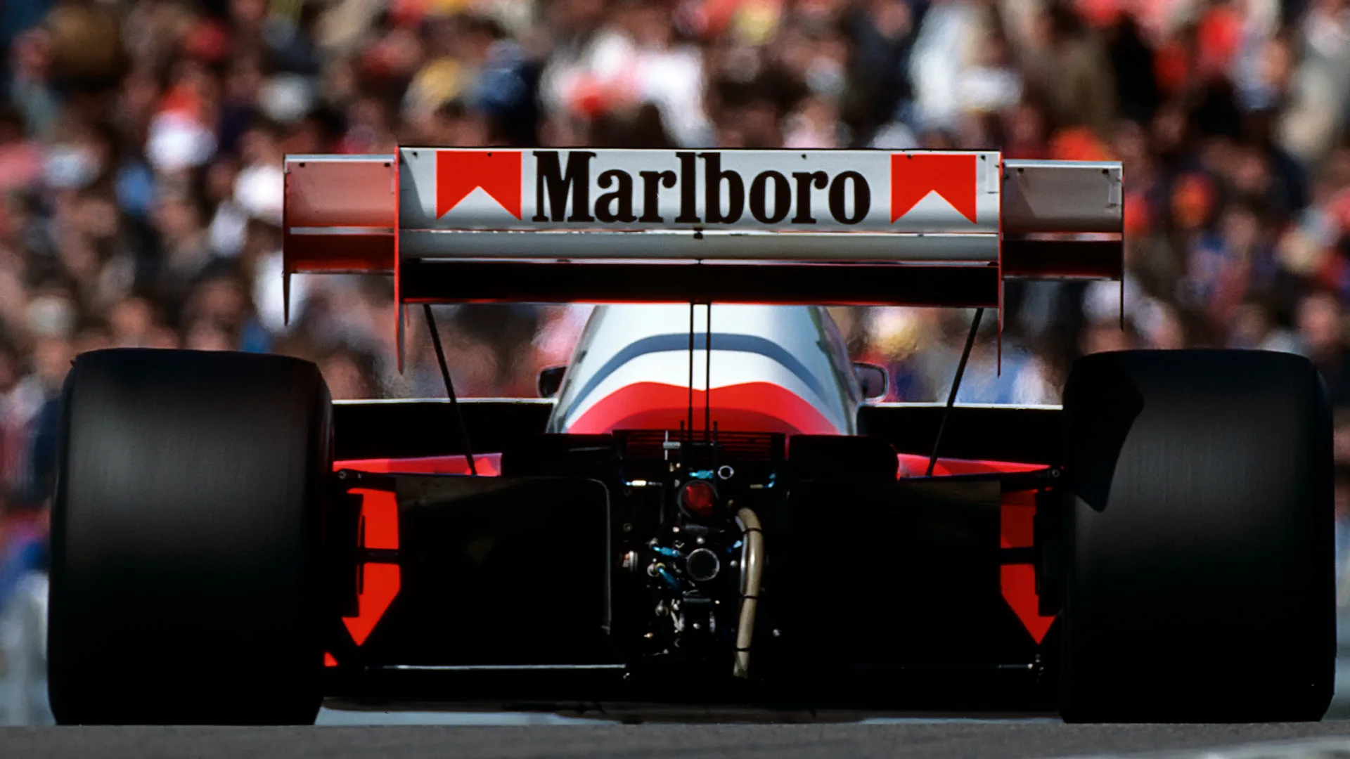 Niki Lauda, McLaren-TAG MP4/2, Grand Prix of France, Dijon-Prenois, 20 May 1984. (Photo by