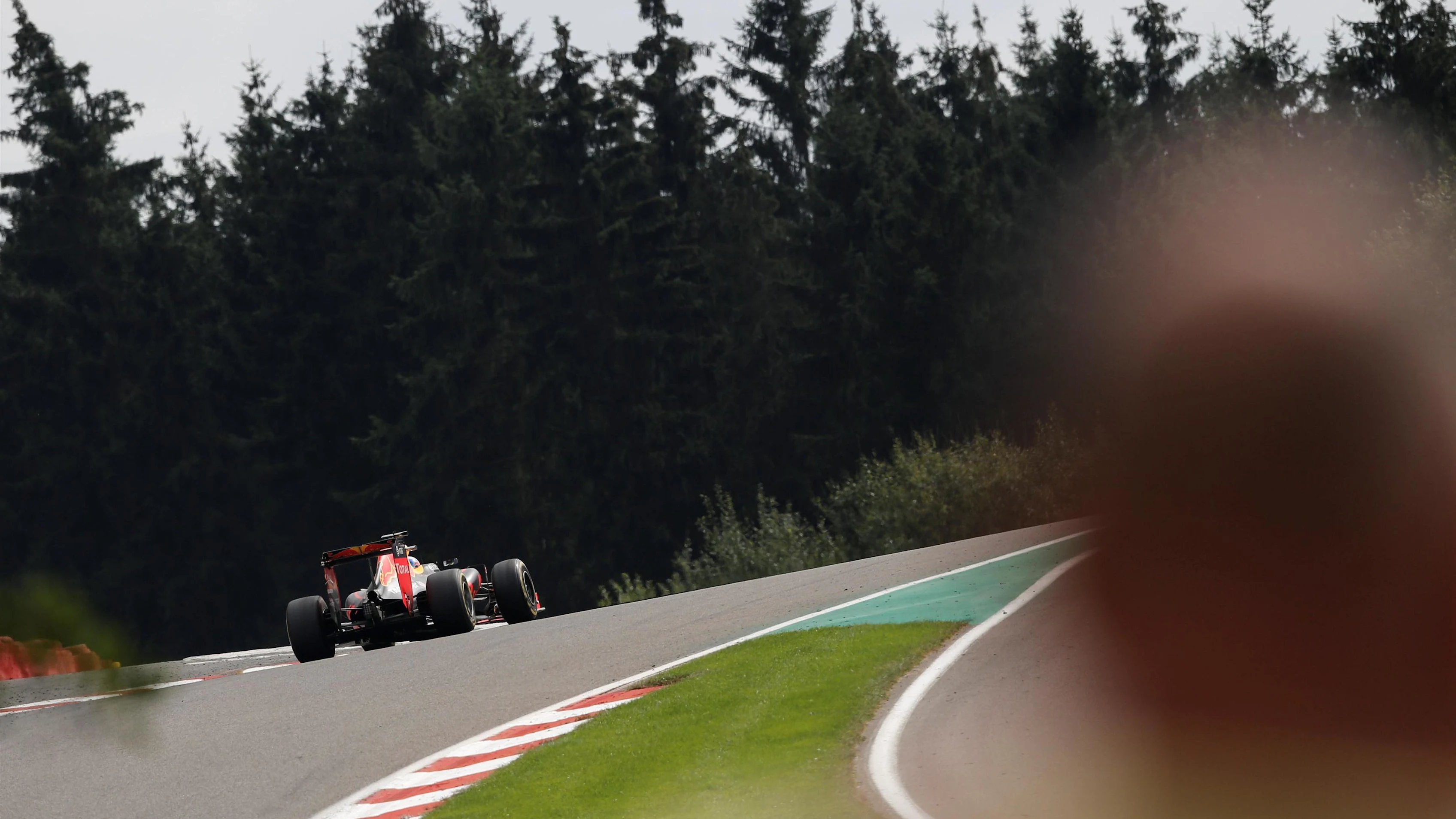Daniel Ricciardo (AUS) Red Bull Racing RB12 at Formula One World Championship, Rd13, Belgian Grand