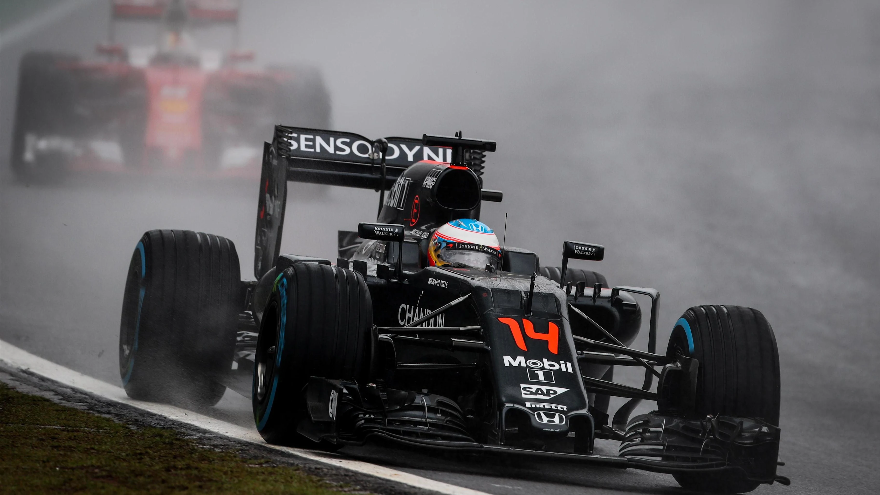 Fernando Alonso (ESP) McLaren MP4-31 at Formula One World Championship, Rd20, Brazilian Grand Prix, Race, Interlagos, Sao Paulo, Brazil, Sunday 13 November 2016. © Sutton Images