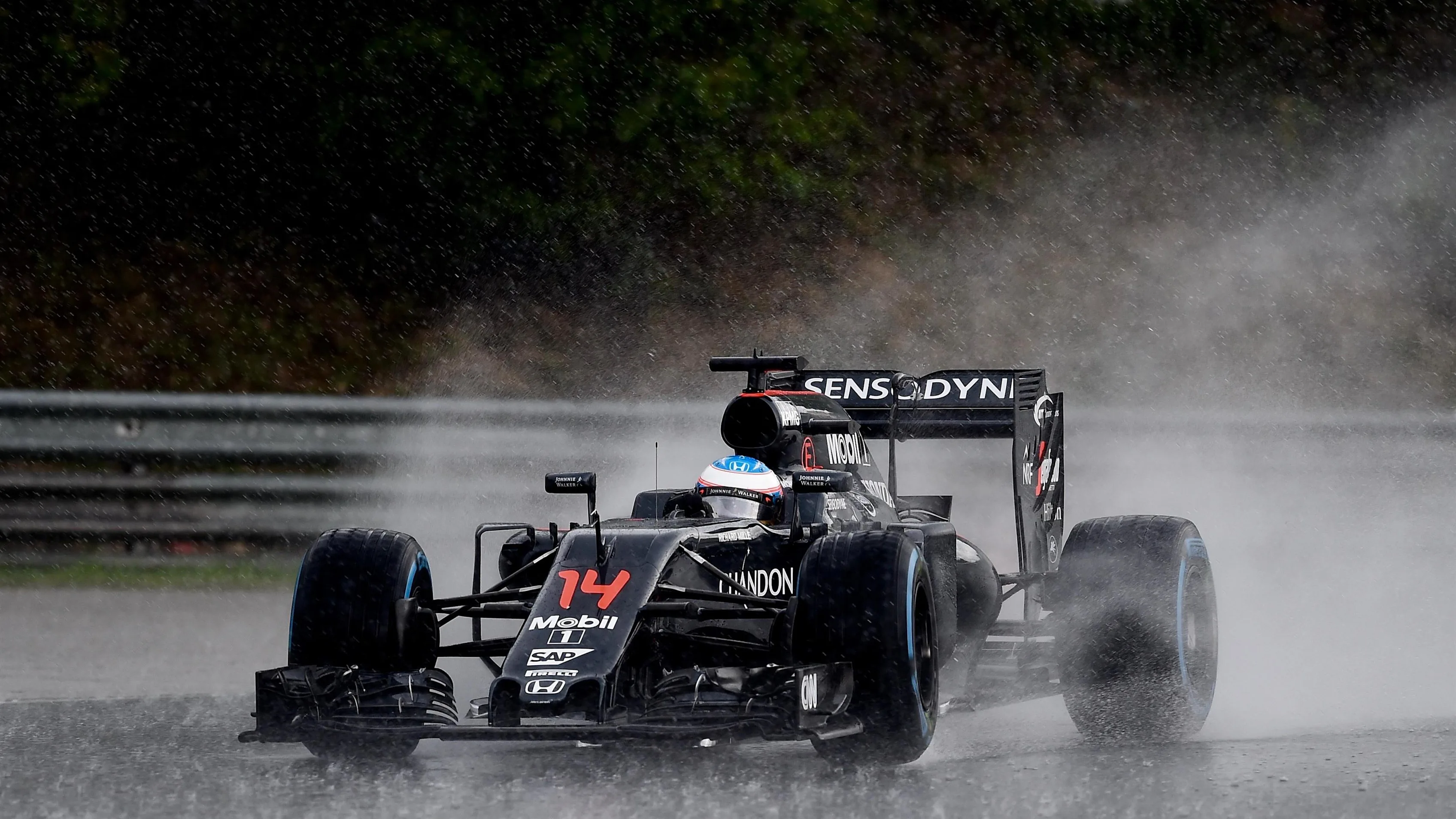 Fernando Alonso (ESP) McLaren MP4-31 at Formula One World Championship, Rd11, Hungarian Grand Prix,
