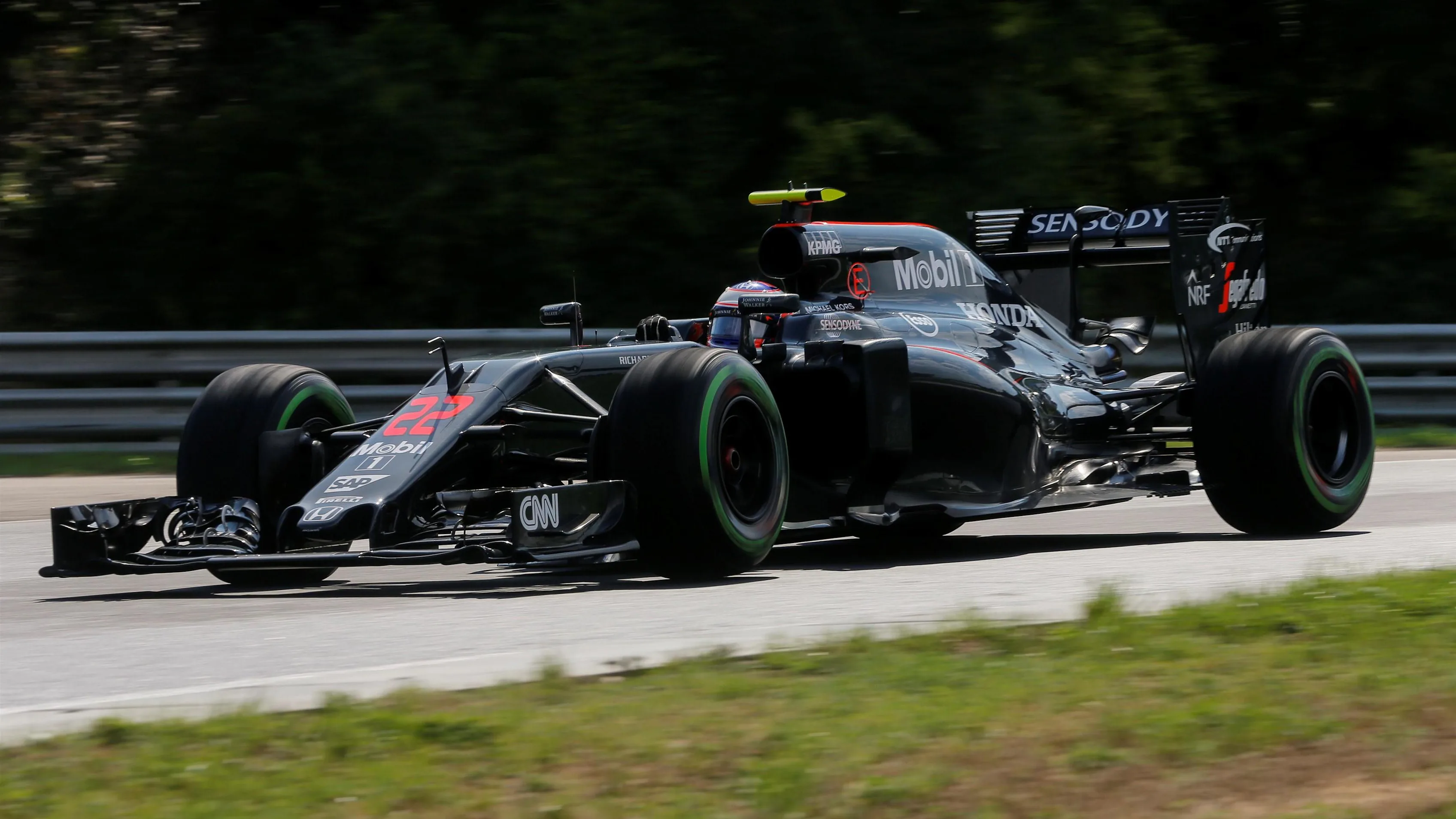 Jenson Button (GBR) McLaren MP4-31 at Formula One World Championship, Rd11, Hungarian Grand Prix,