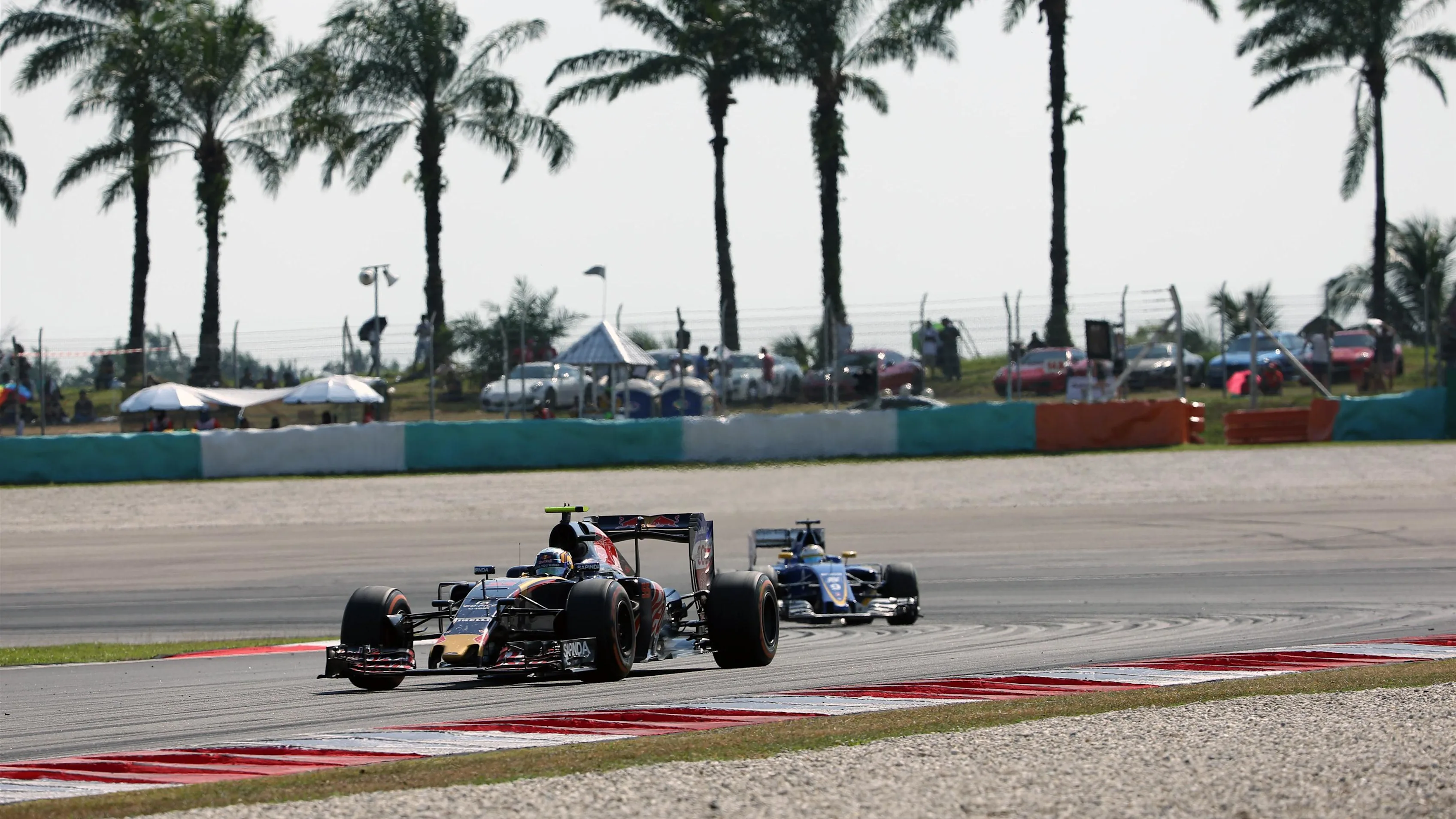 Carlos Sainz ESP) Scuderia Toro Rosso STR11 at Formula One World Championship, Rd16, Malaysian Grand Prix, Race, Sepang, Malaysia, Sunday 2 October 2016. © Sutton Images