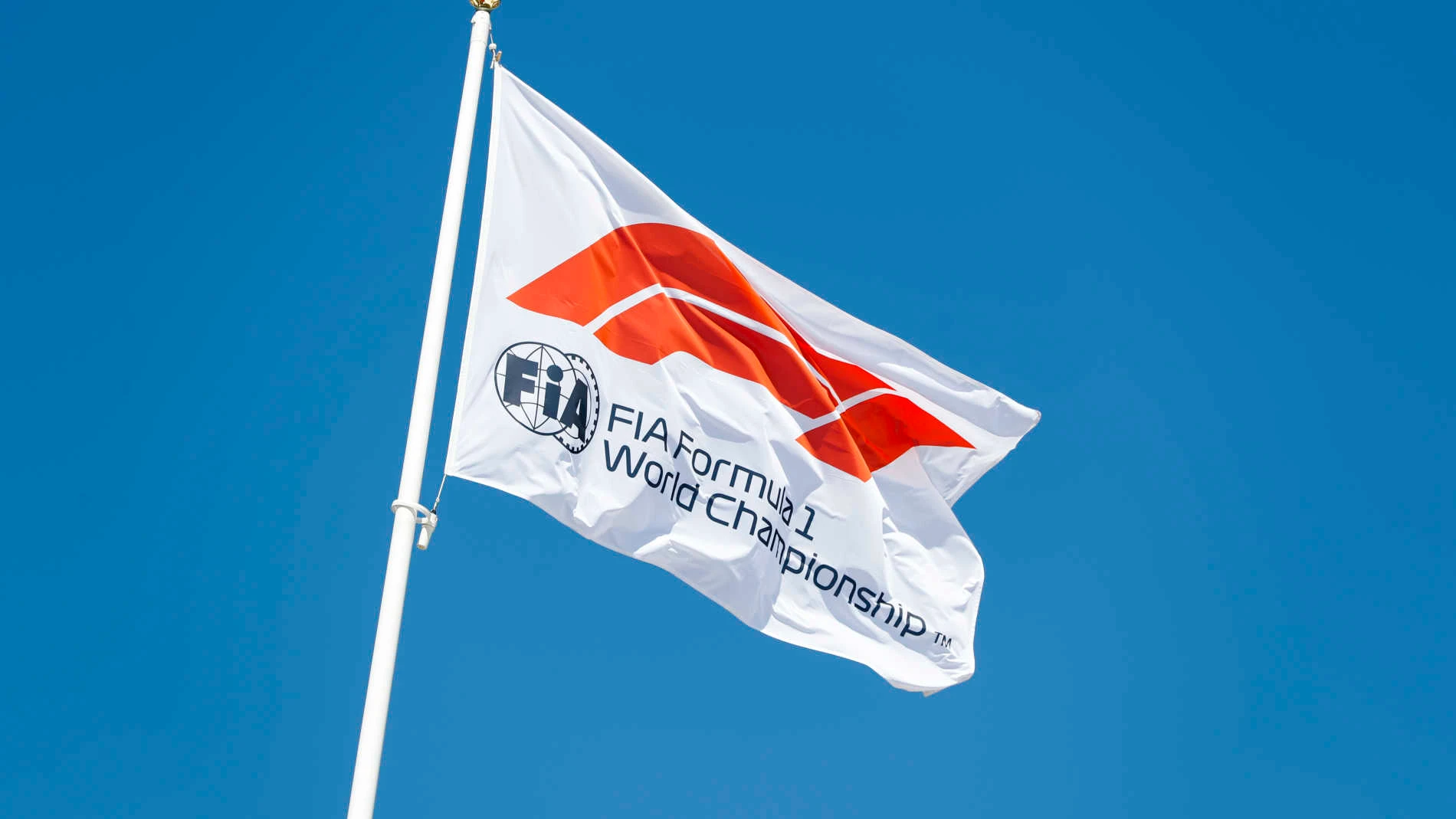 CIRCUIT PAUL RICARD, FRANCE - JUNE 22: FIA Formula One Flag during the French GP at Circuit Paul