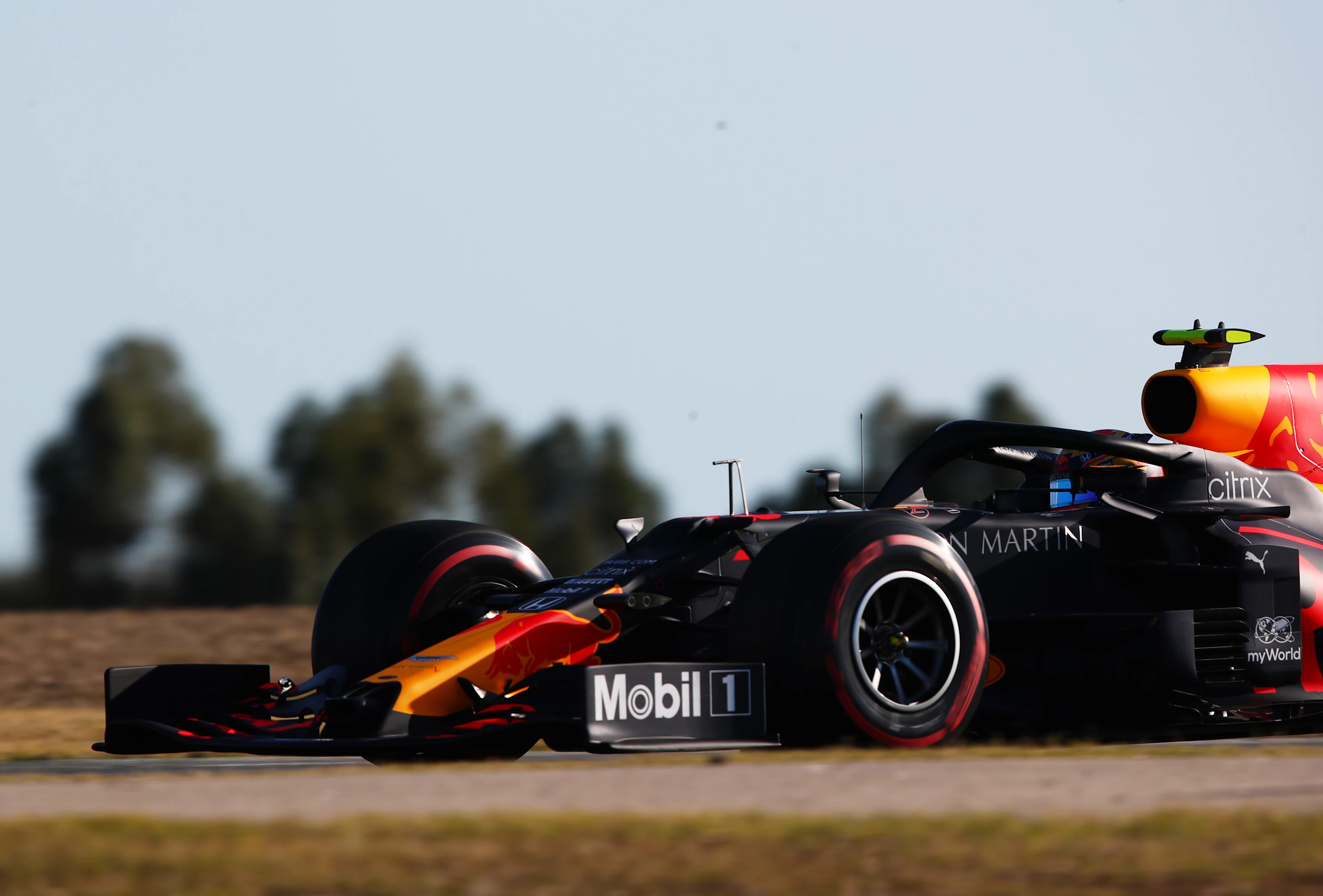 PORTIMAO, PORTUGAL - OCTOBER 23: Alexander Albon of Thailand driving the (23) Aston Martin Red Bull Racing RB16 on track during practice ahead of the F1 Grand Prix of Portugal at Autodromo Internacional do Algarve on October 23, 2020 in Portimao, Portugal. (Photo by Joe Portlock/Getty Images)