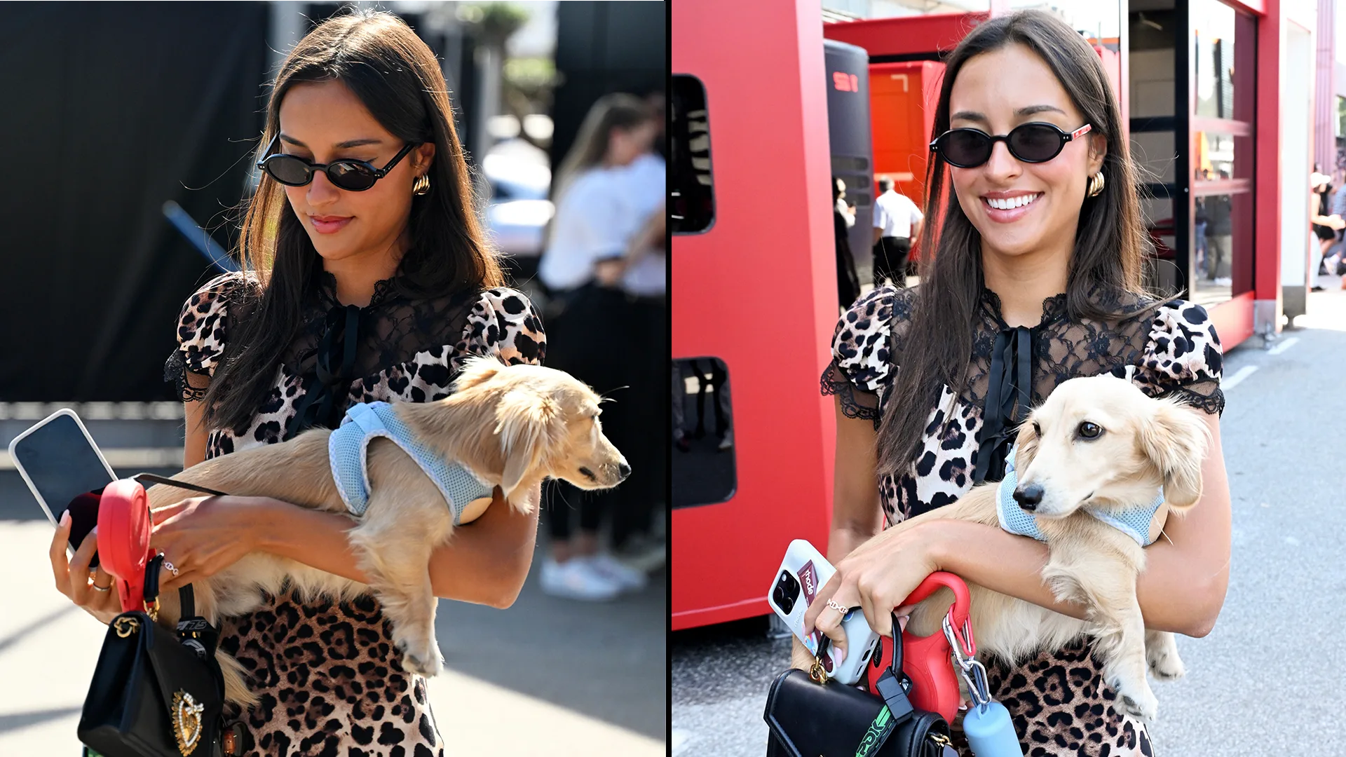 Leo has a habit of stealing the show in the paddock! Swipe for more