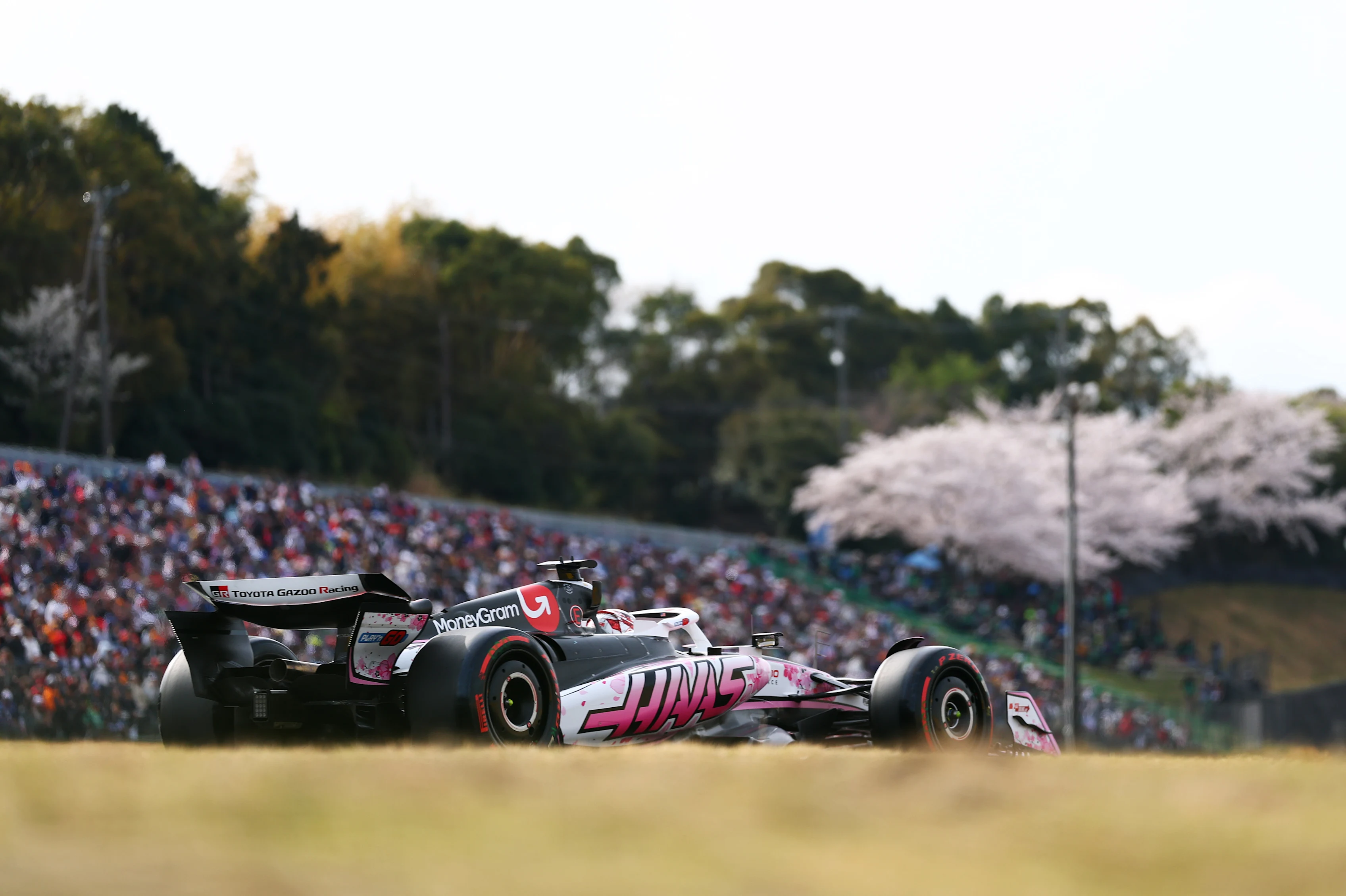 SUZUKA, JAPAN - APRIL 05: Esteban Ocon of France driving the (31) Haas F1 VF-25 Ferrari on track during qualifying ahead of the F1 Grand Prix of Japan at Suzuka Circuit on April 05, 2025 in Suzuka, Japan. (Photo by Clive Rose/Getty Images)