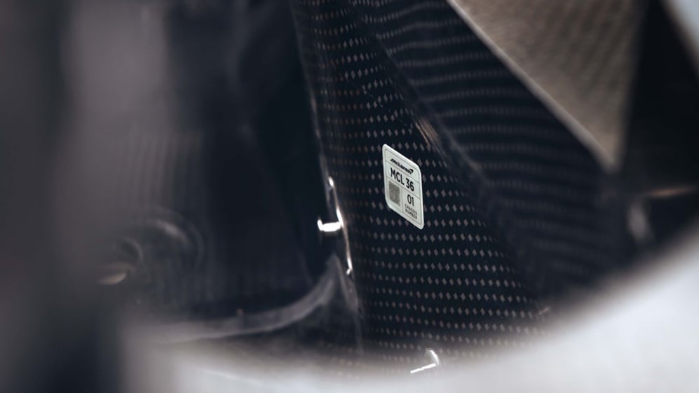 MCL36.jpg