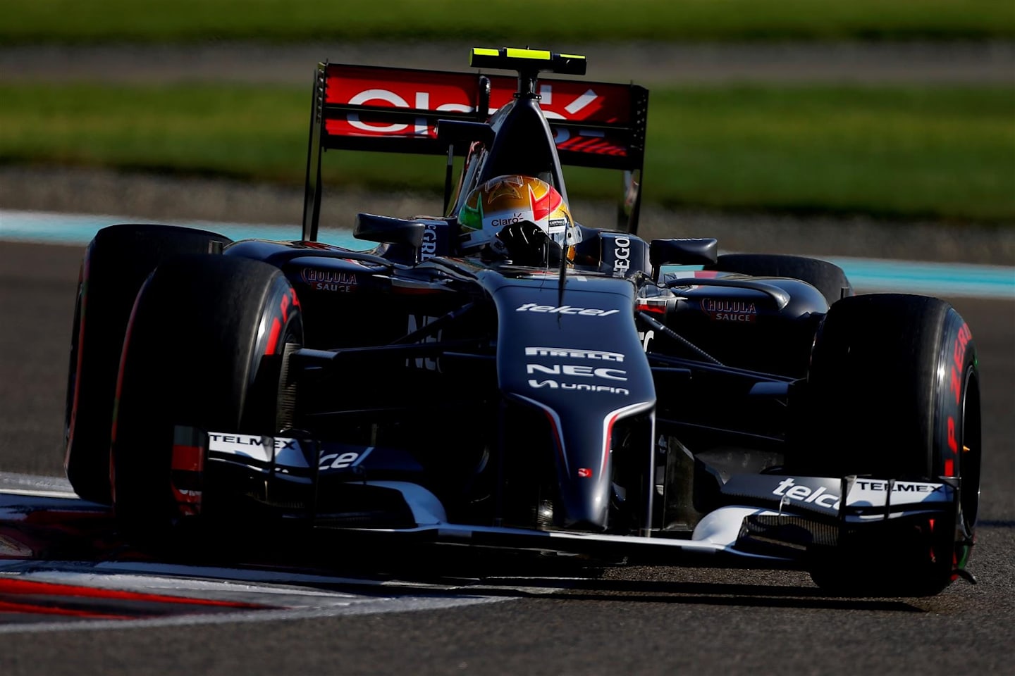 Esteban Gutierrez (MEX) Sauber C33. Formula One World Championship, Rd19, Abu Dhabi Grand Prix, Qualifying, Yas Marina Circuit, Abu Dhabi, UAE, Saturday, 22 November 2014. © Sutton Images