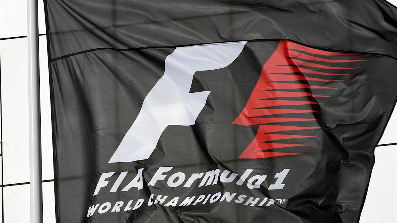 FIA flag. Formula One World Championship, Rd16, Russian Grand Prix, Practice, Sochi Autodrom, Sochi, Krasnodar Krai, Russia, Friday, 10 October 2014. © Sutton Images