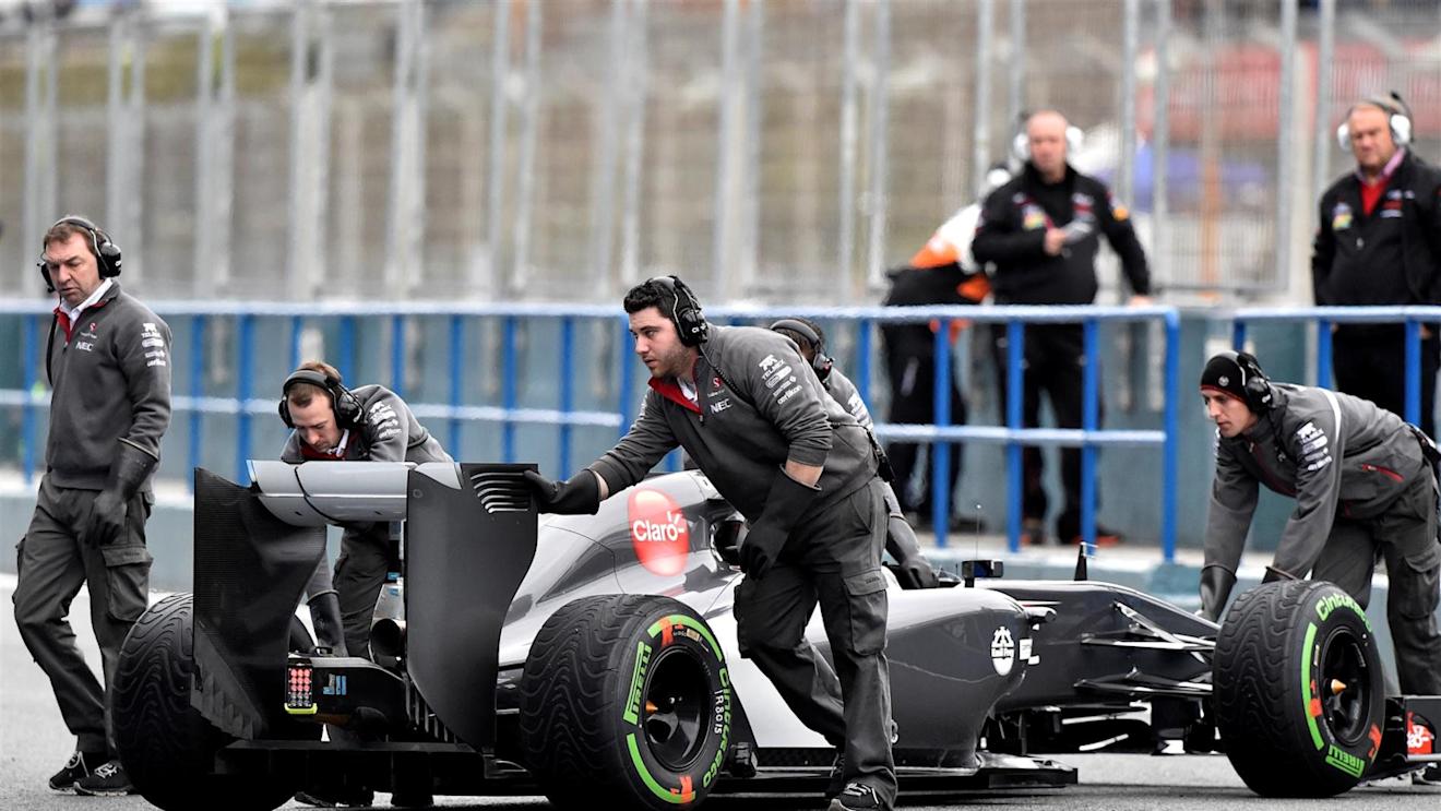 Adrian Sutil (GER) Sauber C33. Formula One Testing, Jerez, Spain, Day Four, Friday, 31 January 2014