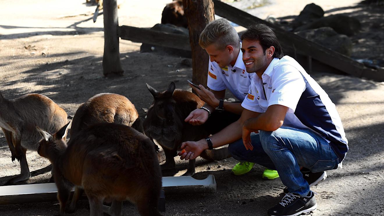 Marcus Ericsson (SWE) Sauber and Felipe Nasr (BRA) Sauber visit Melbourne Zoo and feed Kangaroos at Formula One World Championship, Rd1, Australian Grand Prix, Preparations, Albert Park, Melbourne, Australia, Wednesday 16 March 2016. © Sutton Motorsport Images