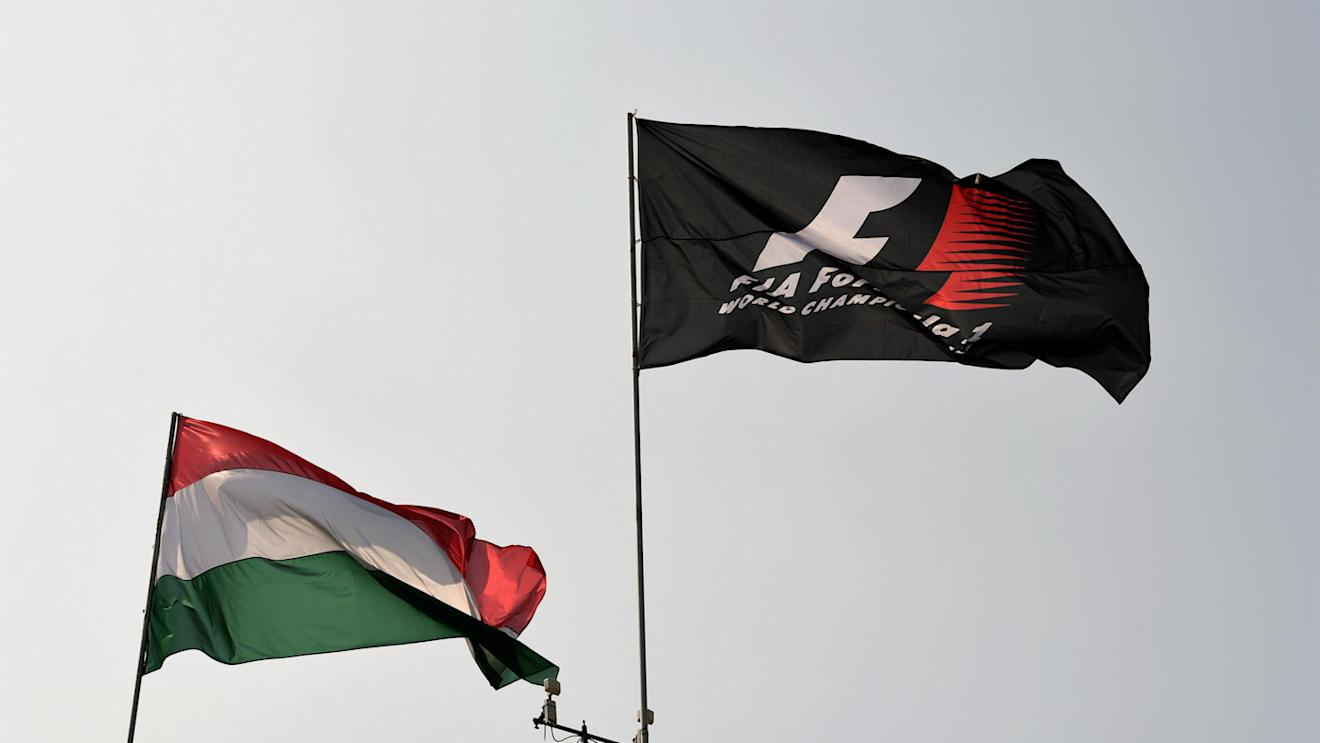 Flags at Formula One World Championship, Rd11, Hungarian Grand Prix, Race, Hungaroring, Hungary, Sunday 24 July 2016. © Sutton Images