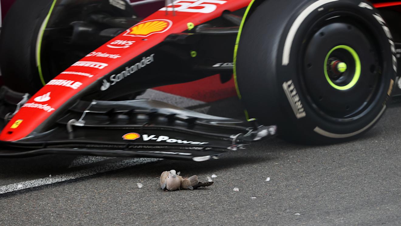 MONTE-CARLO, MONACO - MAY 28: Carlos Sainz of Spain driving (55) the Ferrari SF-23  passes a bird on track during the F1 Grand Prix of Monaco at Circuit de Monaco on May 28, 2023 in Monte-Carlo, Monaco. (Photo by Ryan Pierse/Getty Images)