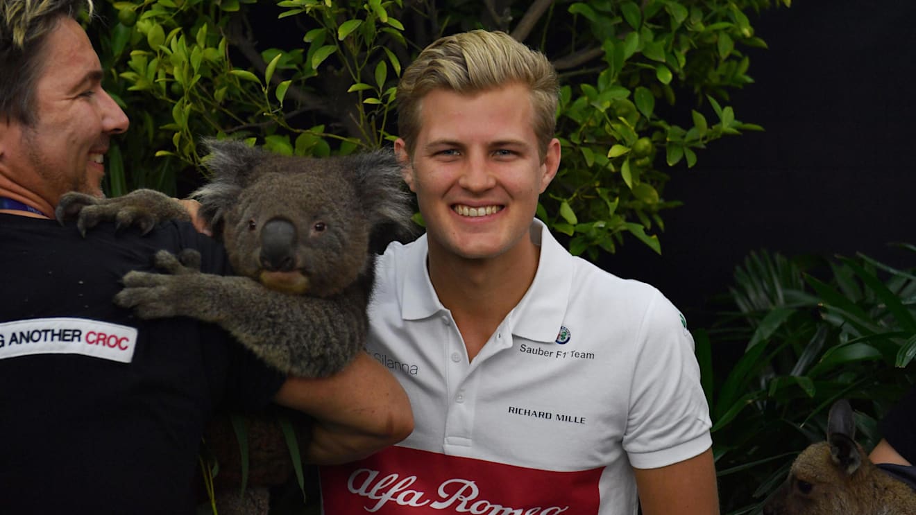 Marcus Ericsson (SWE) Alfa Romeo Sauber F1 Team with a Koala bear at Formula One World Championship, Rd1, Australian Grand Prix, Preparations, Melbourne, Australia, Thursday 22 March 2018. © Mark Sutton/Sutton Images