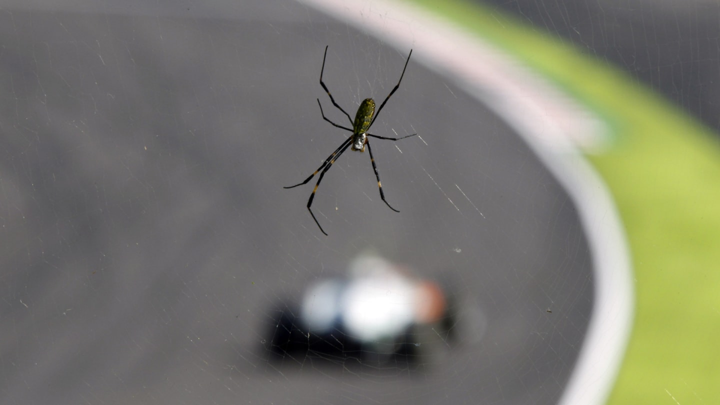 Suzuka Circuit, Suzuka, Japan.
8th October 2011.
Spider. Atmosphere. 
World Copyright: Charles