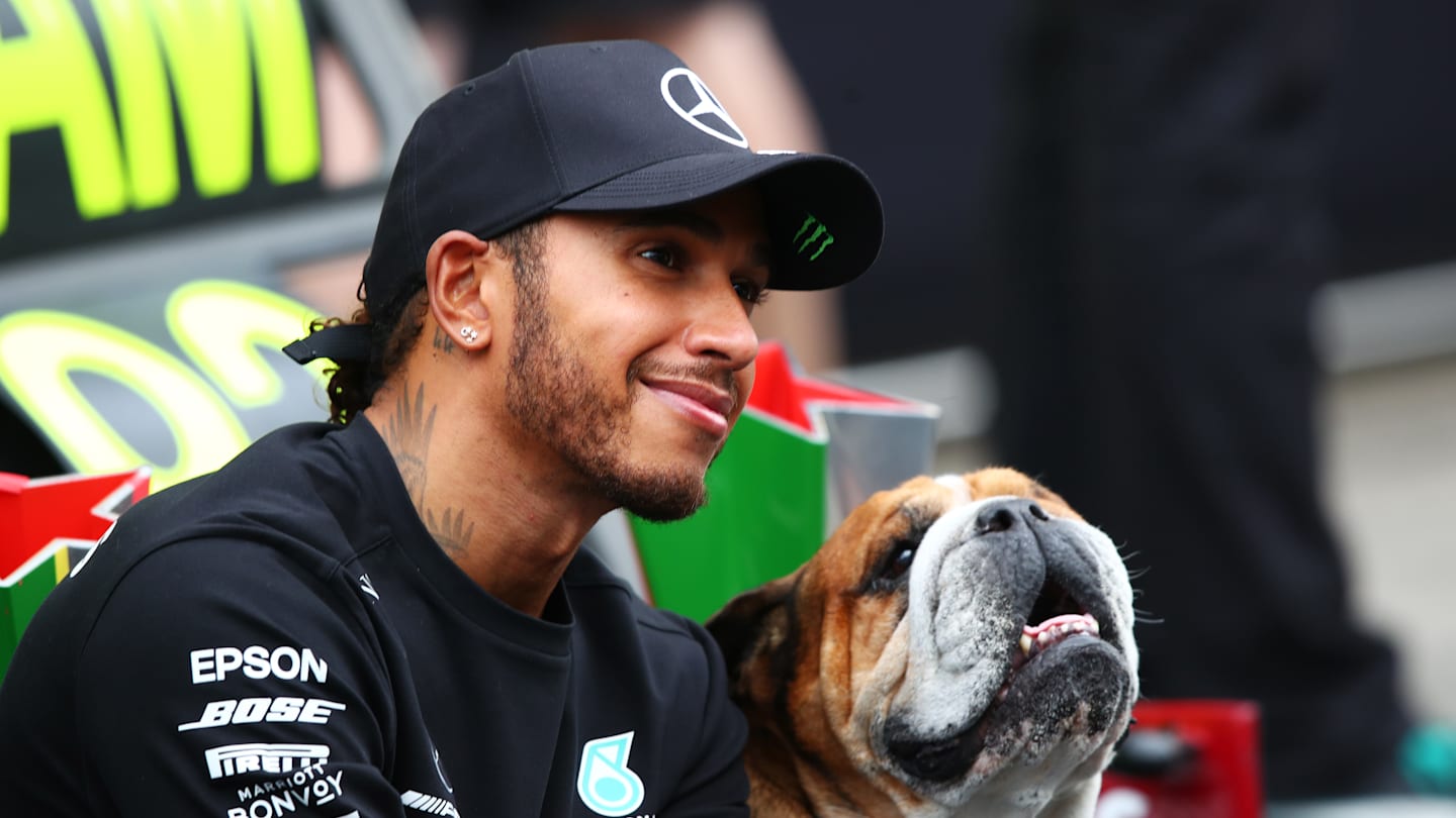 PORTIMAO, PORTUGAL - OCTOBER 25: Race winner Lewis Hamilton of Great Britain and Mercedes GP