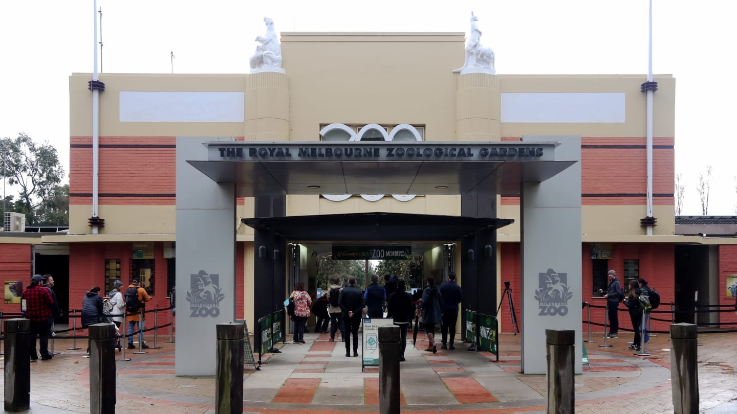 MELBOURNE, AUSTRALIA - JUNE 01: People line up at the entrance to Melbourne Zoo on June 01, 2020 in