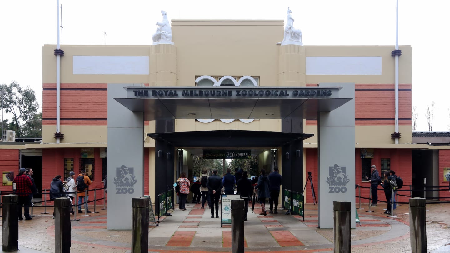 MELBOURNE, AUSTRALIA - JUNE 01: People line up at the entrance to Melbourne Zoo on June 01, 2020 in