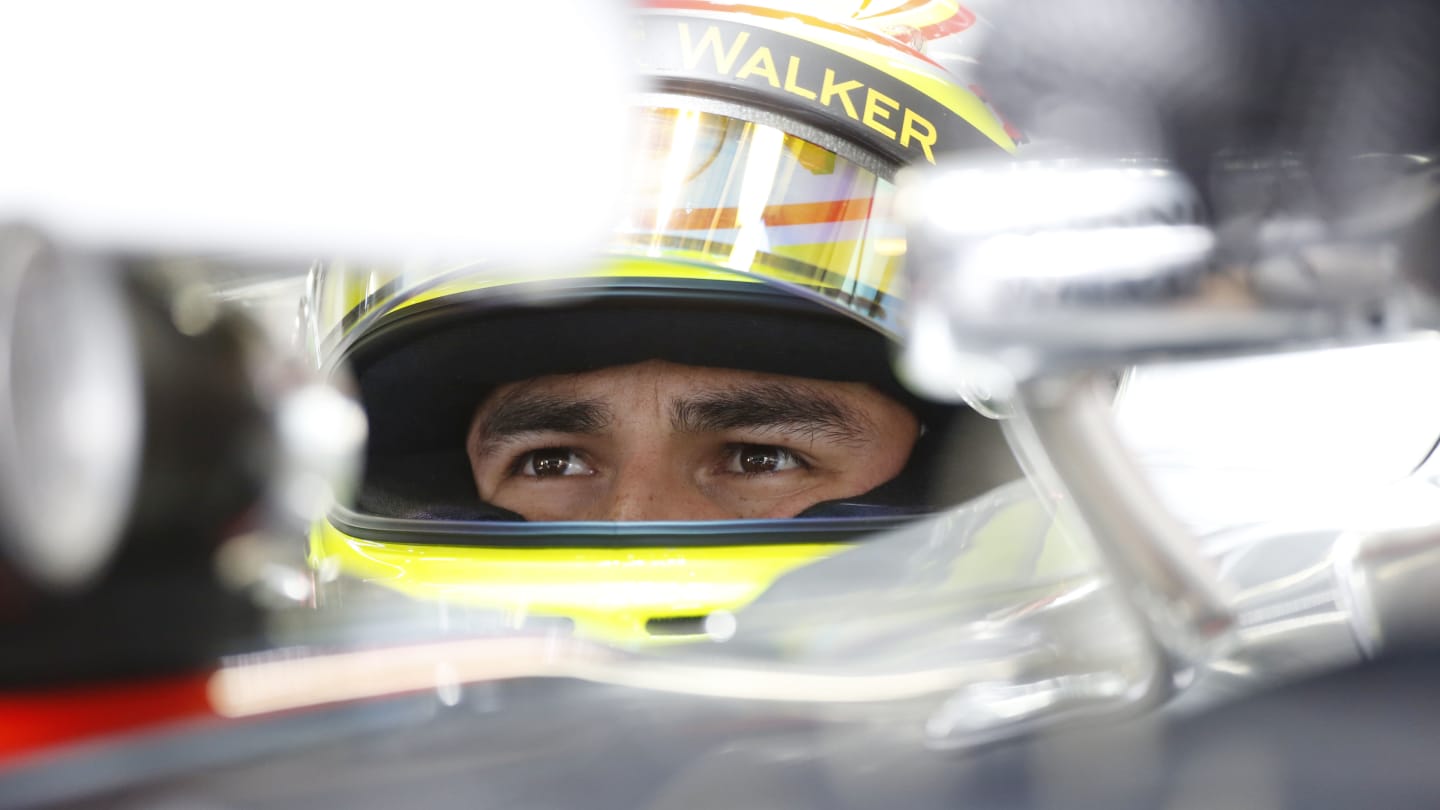 Motorsports: FIA Formula One World Championship 2013, Grand Prix of Brazil, #6 Sergio Perez (MEX,