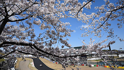 LIVE COVERAGE: Follow all the action from final practice for the Japanese Grand Prix