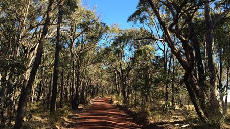 Shot taken by Jenson Button while mountain biking in Hepburn Springs, Australia. © Zoom
