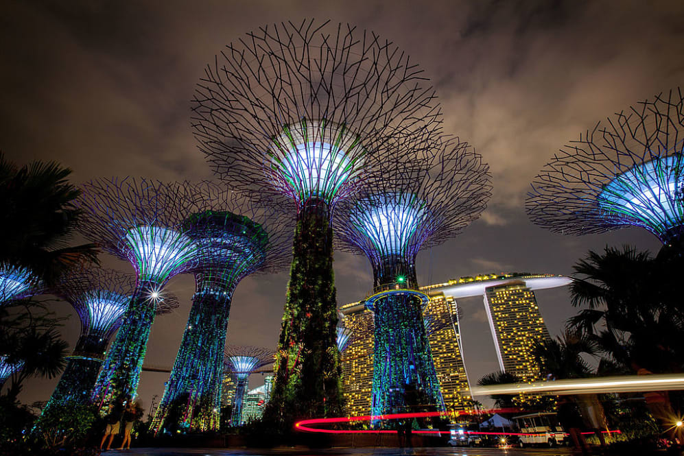SINGAPORE - JULY 02:  The Supertree Grove is illuminated during the Gardens by the Bay, Light and