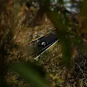 SUZUKA, JAPAN - MARCH 28: Franco Colapinto of Argentina driving the (43) Alpine F1 A526 Mercedes on track during final practice ahead of the F1 Grand Prix of Japan at Suzuka Circuit on March 28, 2026 in Suzuka, Japan. (Photo by Clive Mason/Getty Images)