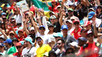 SAO PAULO, BRAZIL - NOVEMBER 05: Fans show their support prior to the F1 Grand Prix of Brazil at