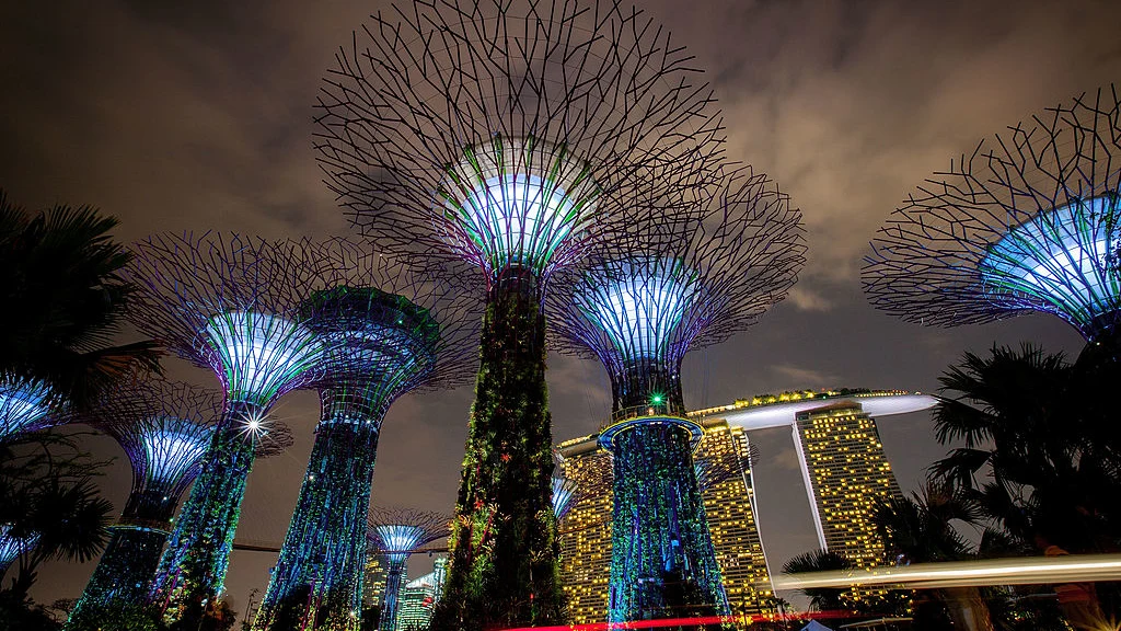 SINGAPORE - JULY 02:  The Supertree Grove is illuminated during the Gardens by the Bay, Light and