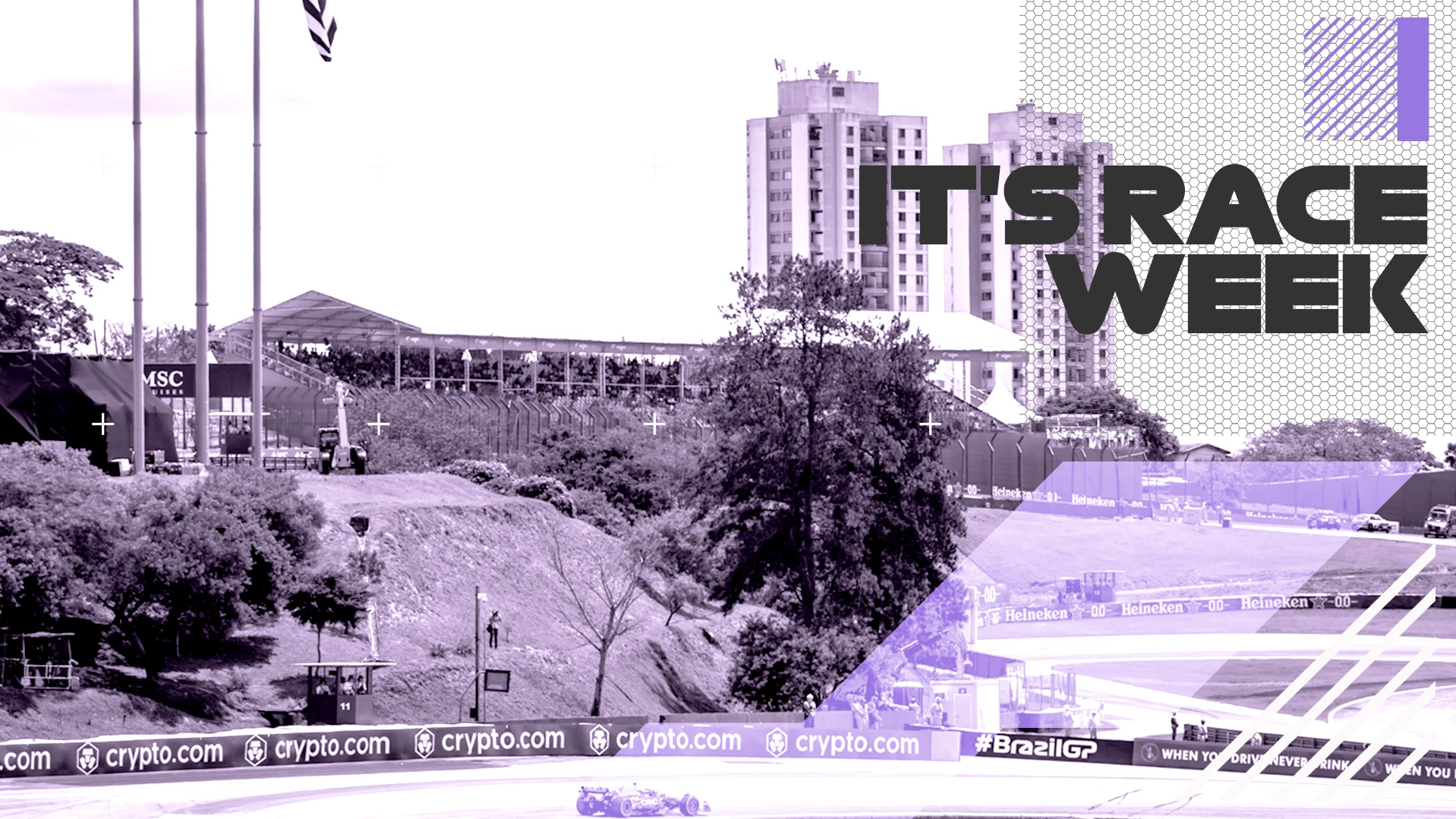 Race week image copy 1.png