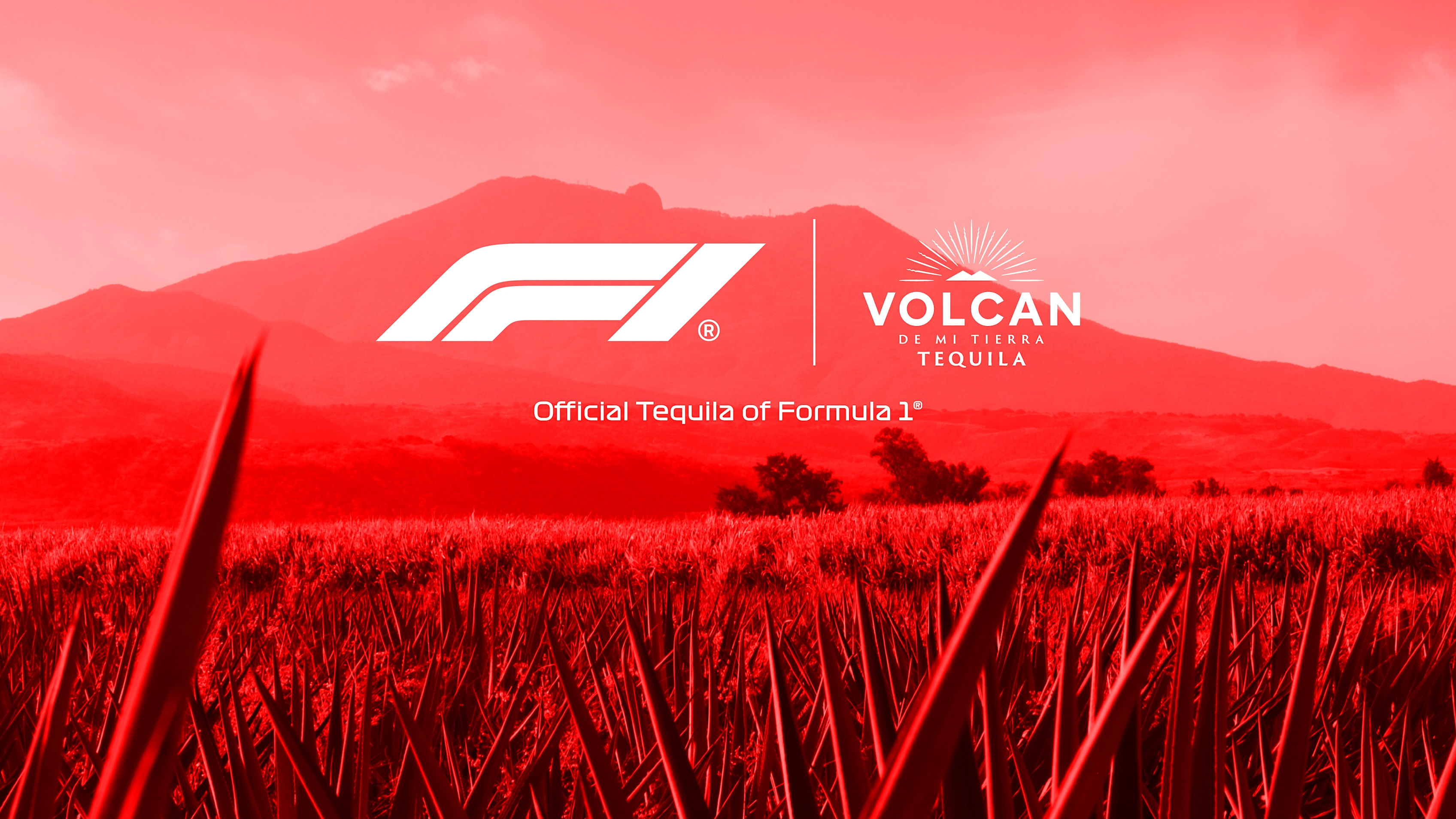 VOLCAN_F1_COMUNICADO_HORIZONTAL-01.png