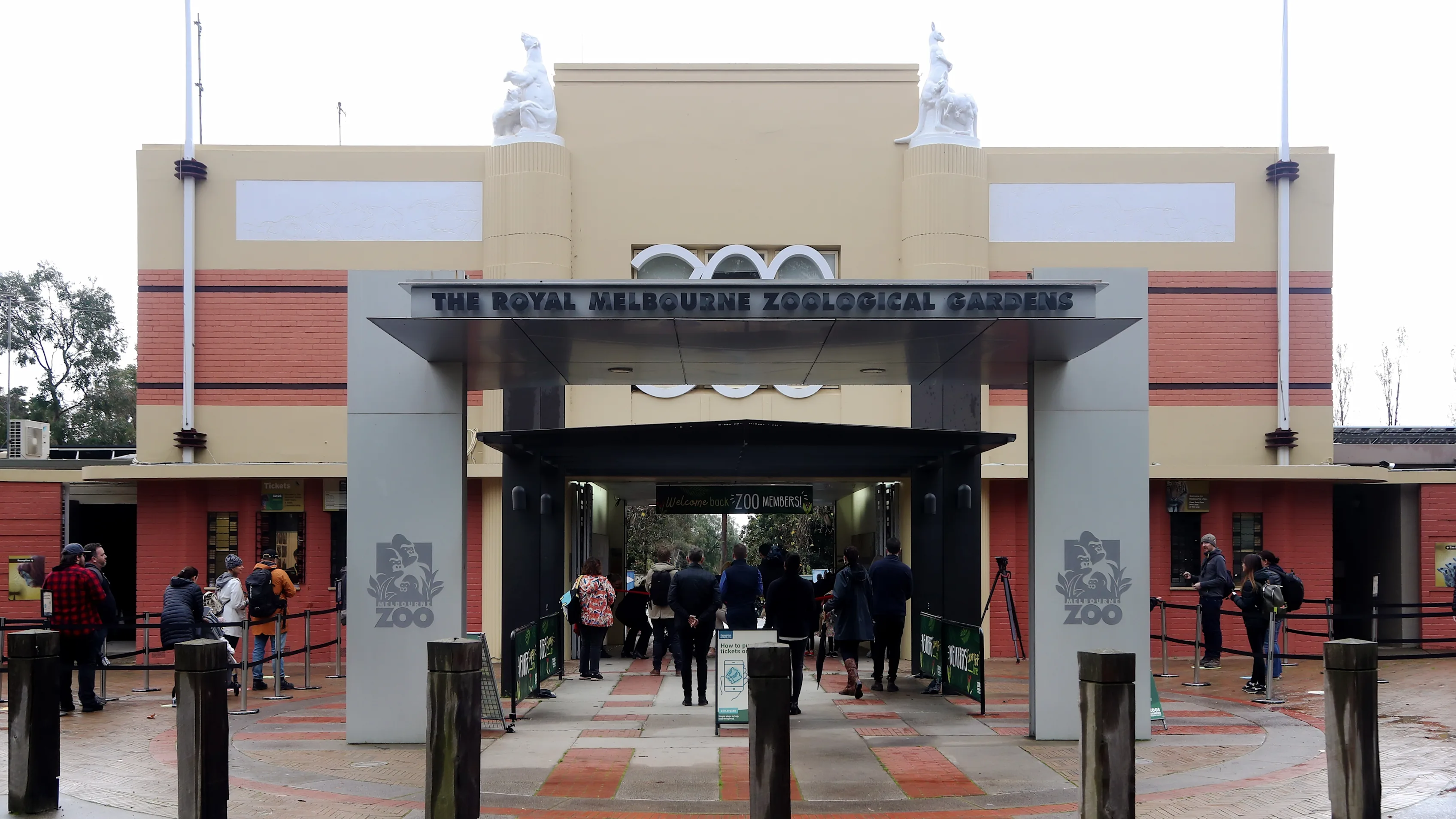 MELBOURNE, AUSTRALIA - JUNE 01: People line up at the entrance to Melbourne Zoo on June 01, 2020 in