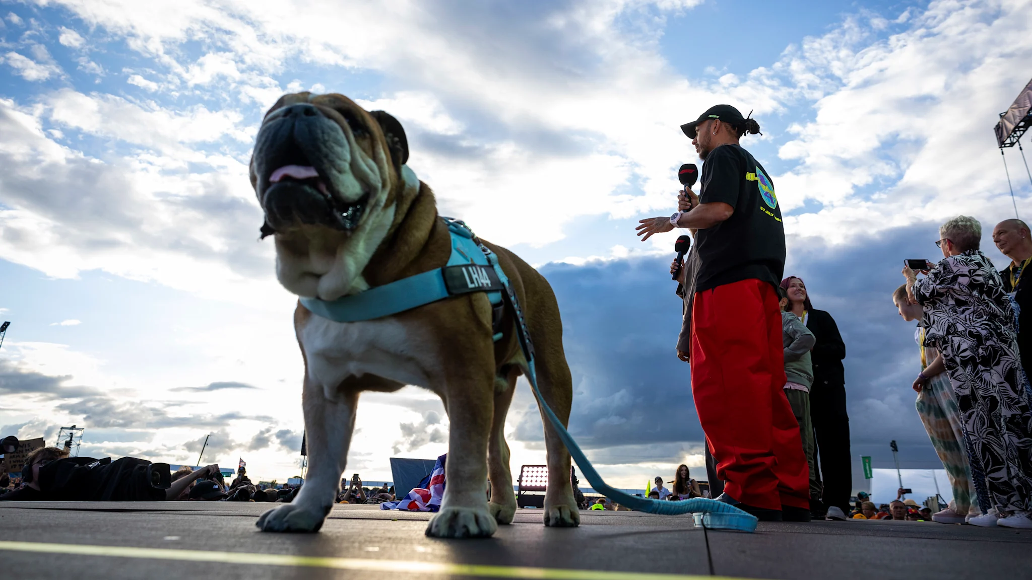 Hamilton announces passing of beloved dog Roscoe