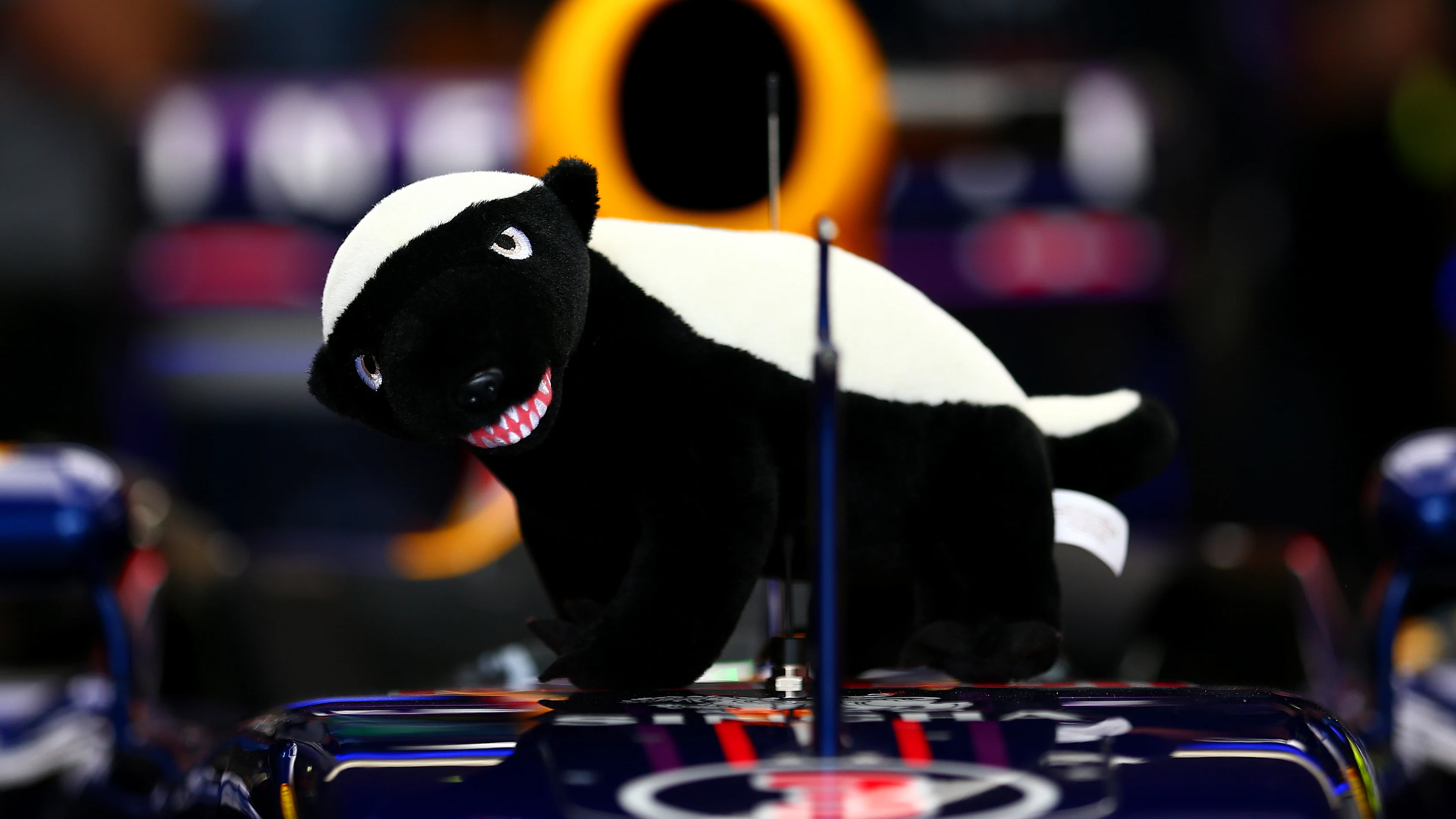 SAO PAULO, BRAZIL - NOVEMBER 08:  Daniel Ricciardo of Australia and Infiniti Red Bull Racing's